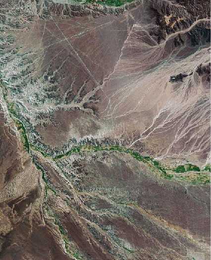 nazca